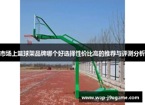 市场上篮球架品牌哪个好选择性价比高的推荐与评测分析