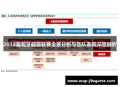 2018葡萄牙超级联赛全景分析与各队表现深度剖析
