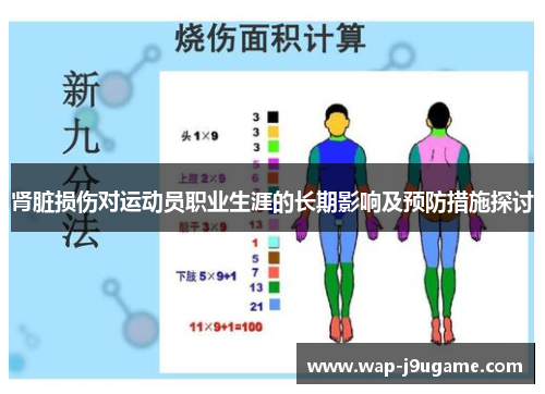肾脏损伤对运动员职业生涯的长期影响及预防措施探讨